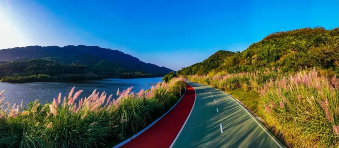 铜梁一日游必去的地方(铜梁一日游必去的地方推荐)-币圈之家