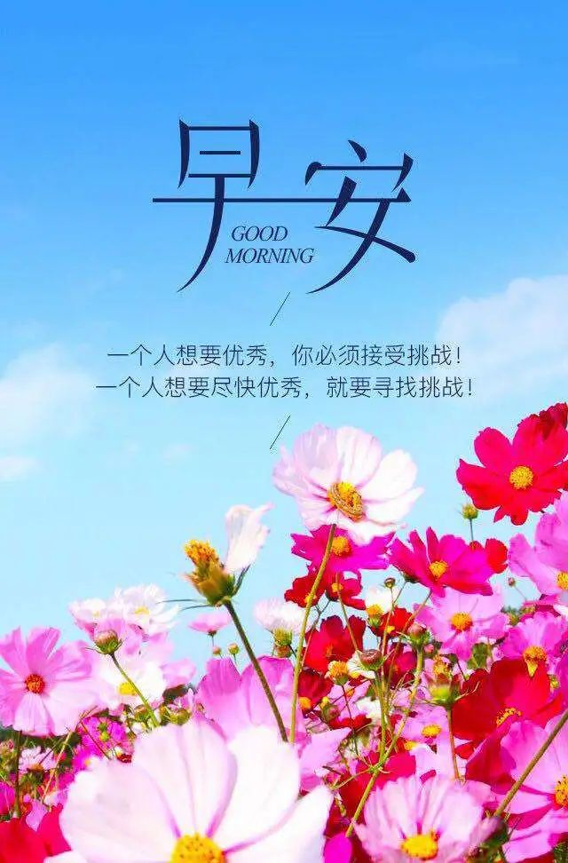 05.03」早安心語,正能量問候語精美語句 勵志經典語錄圖片