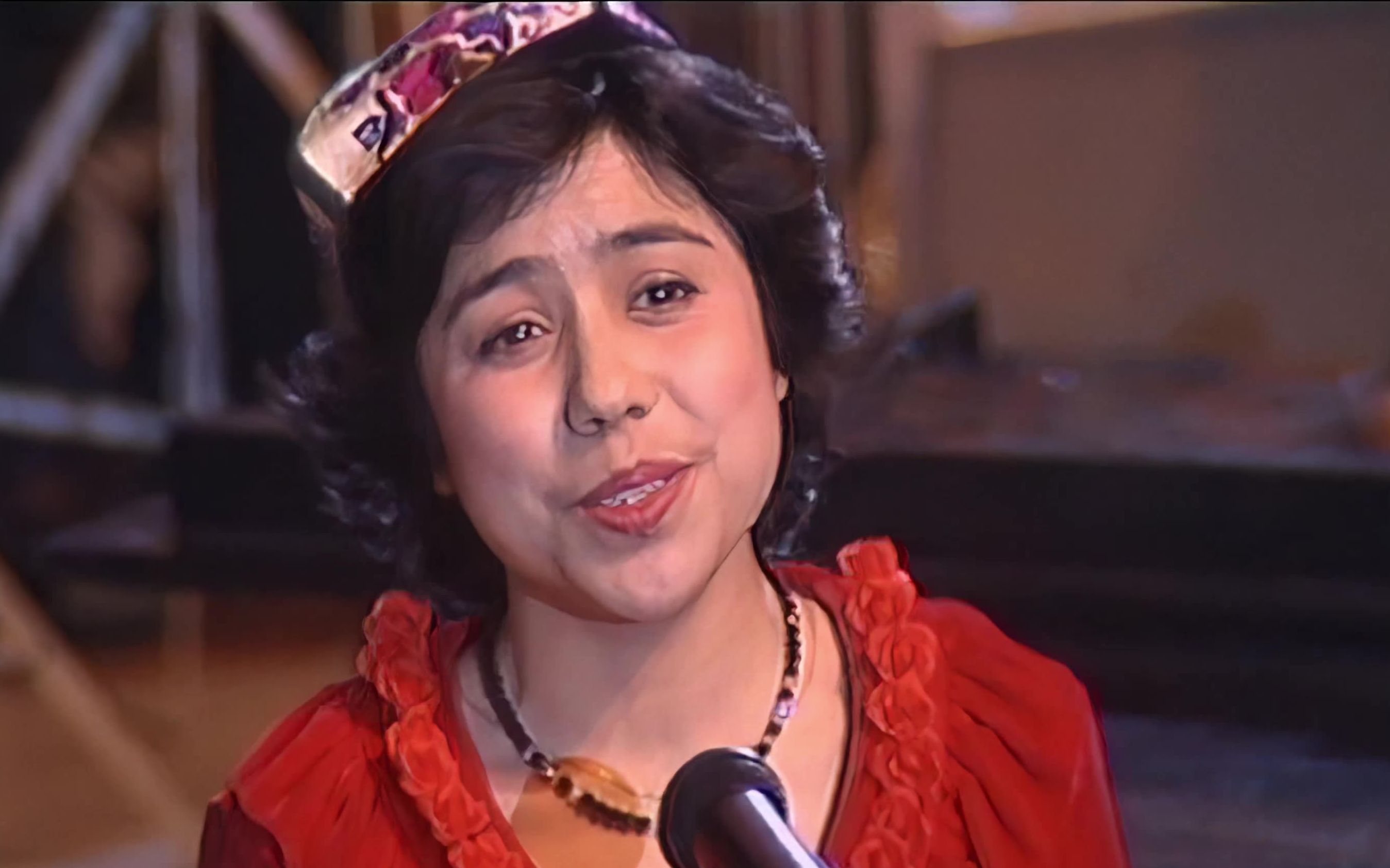 她受到过这样的称赞:"歌剧院多的是,而迪里拜尔只有一个!