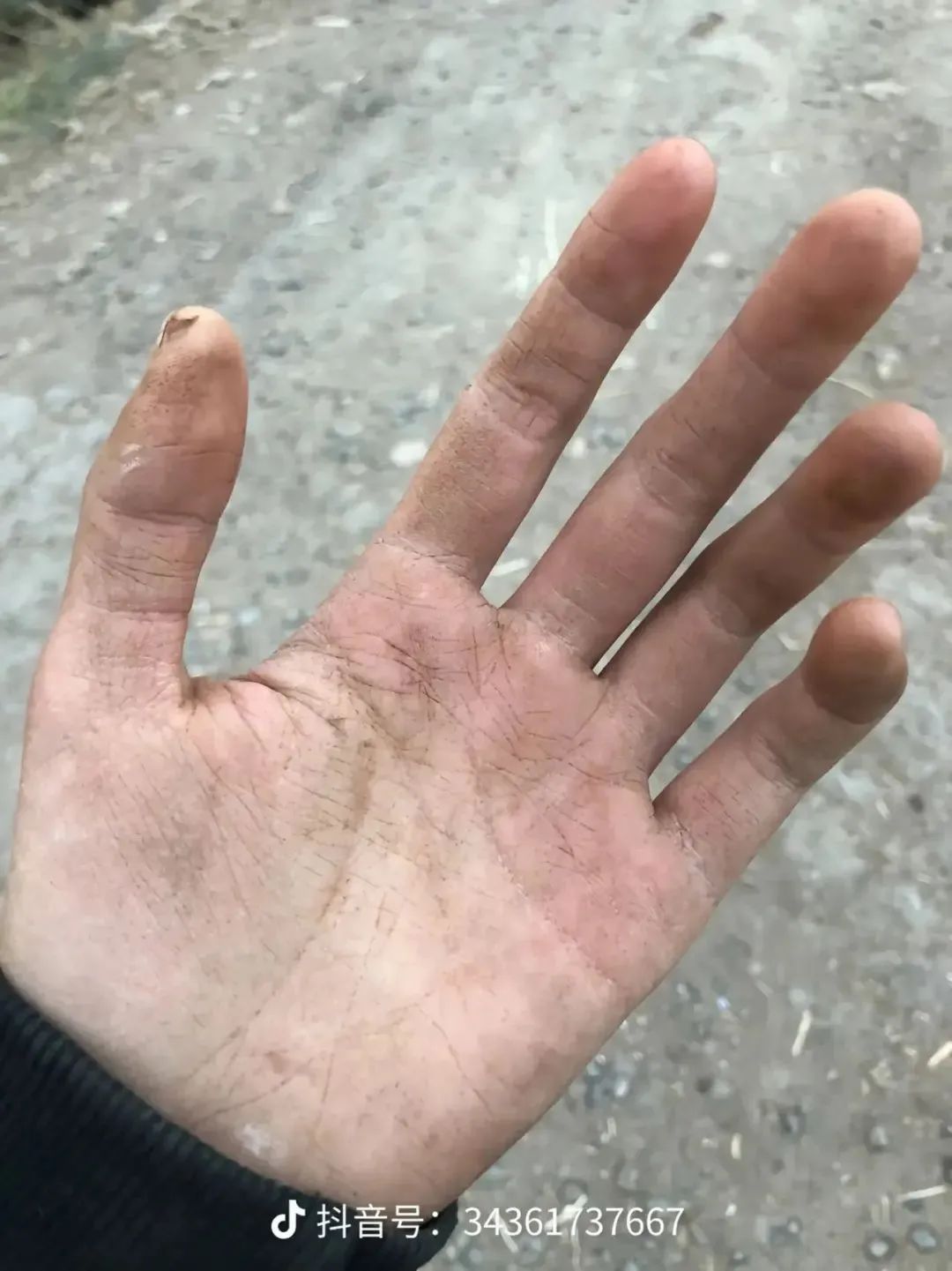 娜拉走后怎樣（19歲當媽，該罵的不是她）