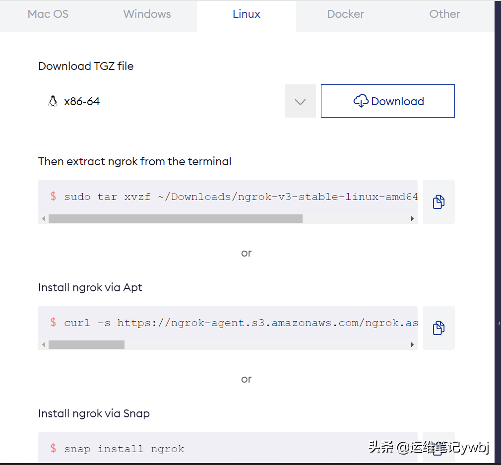Linux搭建ngrok服務(wù)器，內(nèi)網(wǎng)穿透服務(wù)，實(shí)現(xiàn)外網(wǎng)到內(nèi)網(wǎng)的在線訪問(wèn)