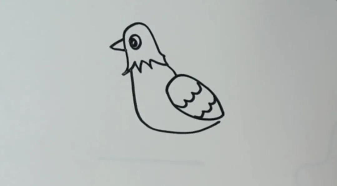 小鸟怎么画才简单又漂亮 儿童动物简笔画大全教程
