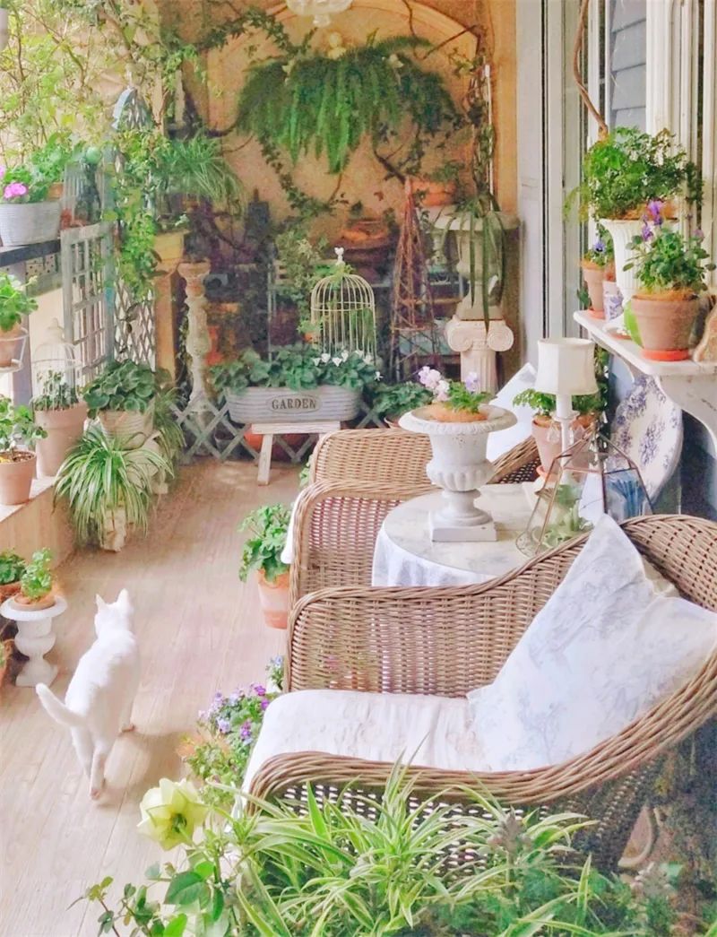 阳台花园，在这个面积不大的地方造梦，美了岁月，醉了时光