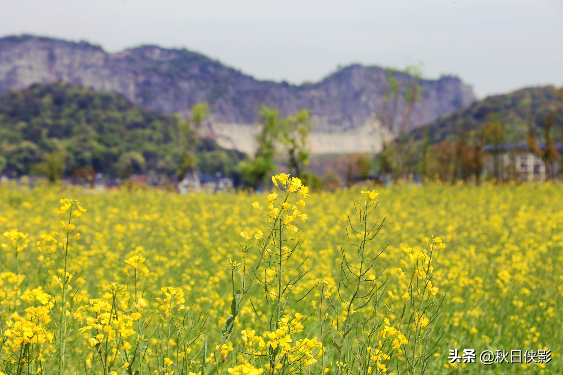 杭州哪里停车免费(杭州新增大型生态免费公园，湖光山色还有花海，踏青露营好去处)