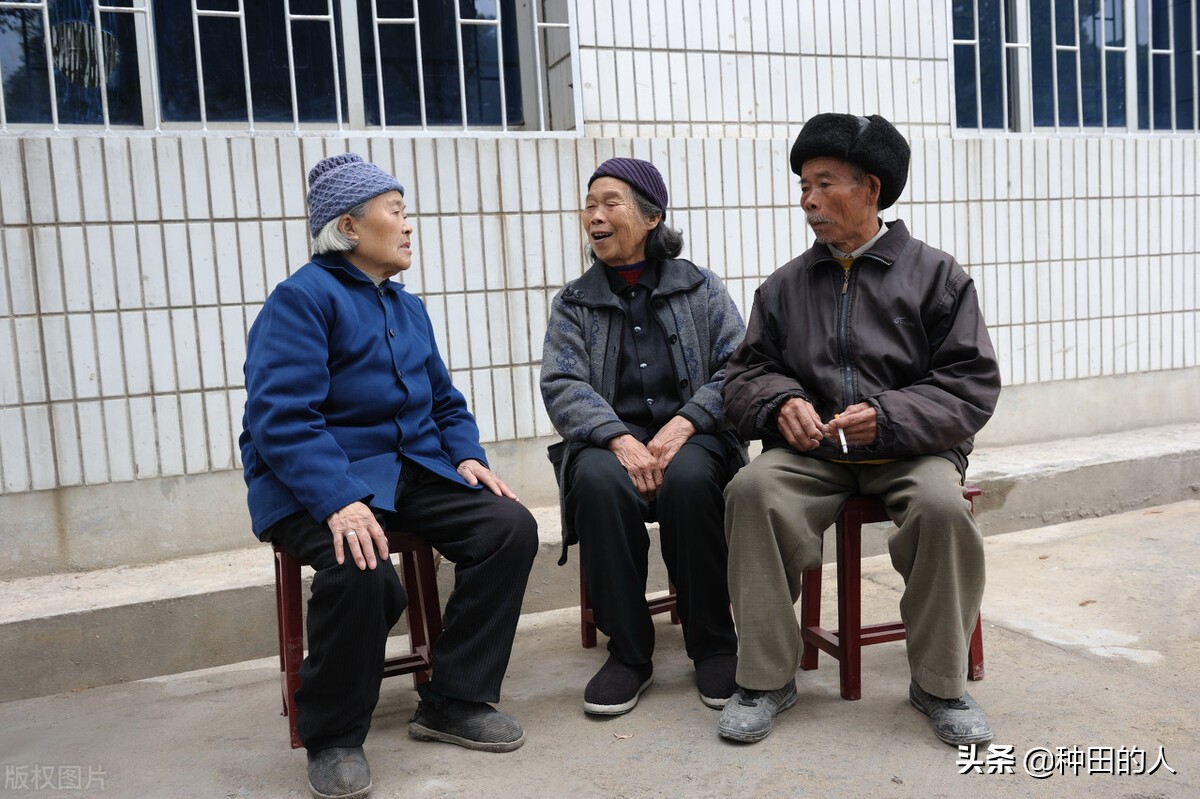养老保险补缴新政策2022,养老保险补缴新政策2022年怎么交
