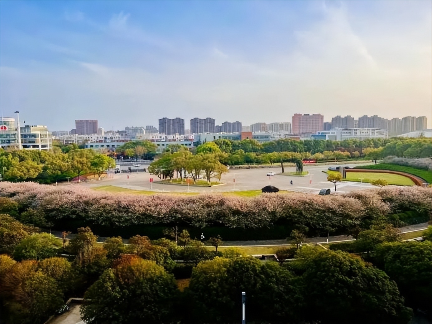 盛产学霸，实力一流！上海“双一流”：同学院42人集体升学名校深造！