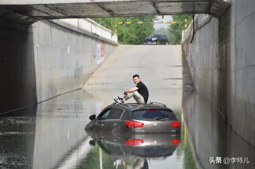 暴雨成河，比亚迪海豚秒变真海豚“河中游泳”，网友：爱车很受伤