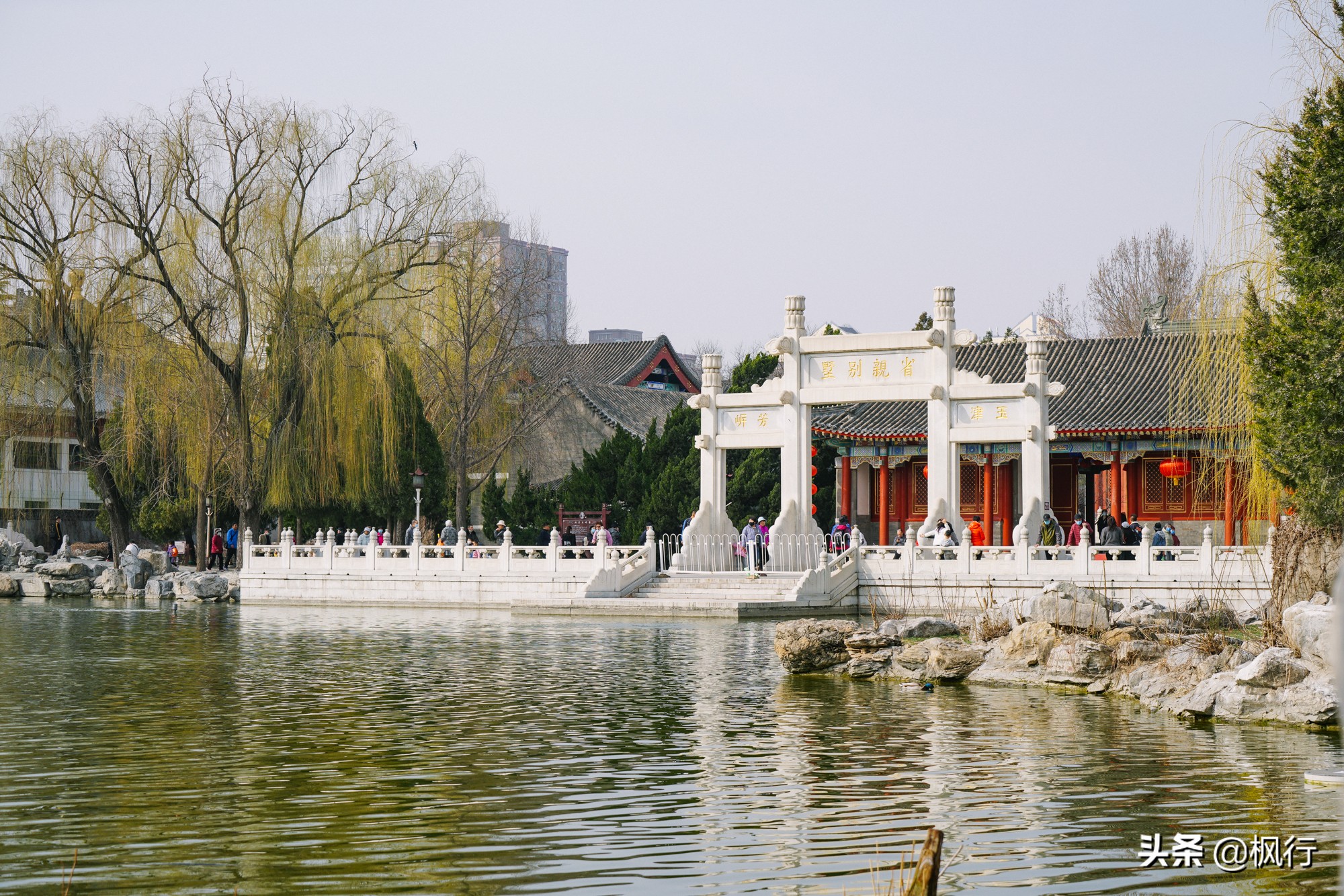 北京小众赏花地推荐：二环内大观园，山桃、玉兰、梅花陆续盛开