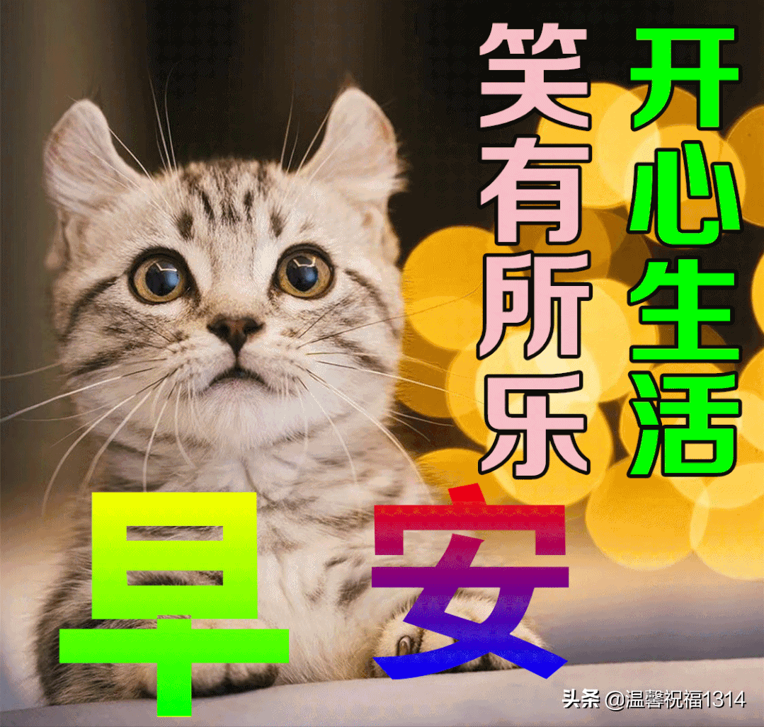 6月7日最新早上好日常祝福语大全，早晨好日常问候语录新版