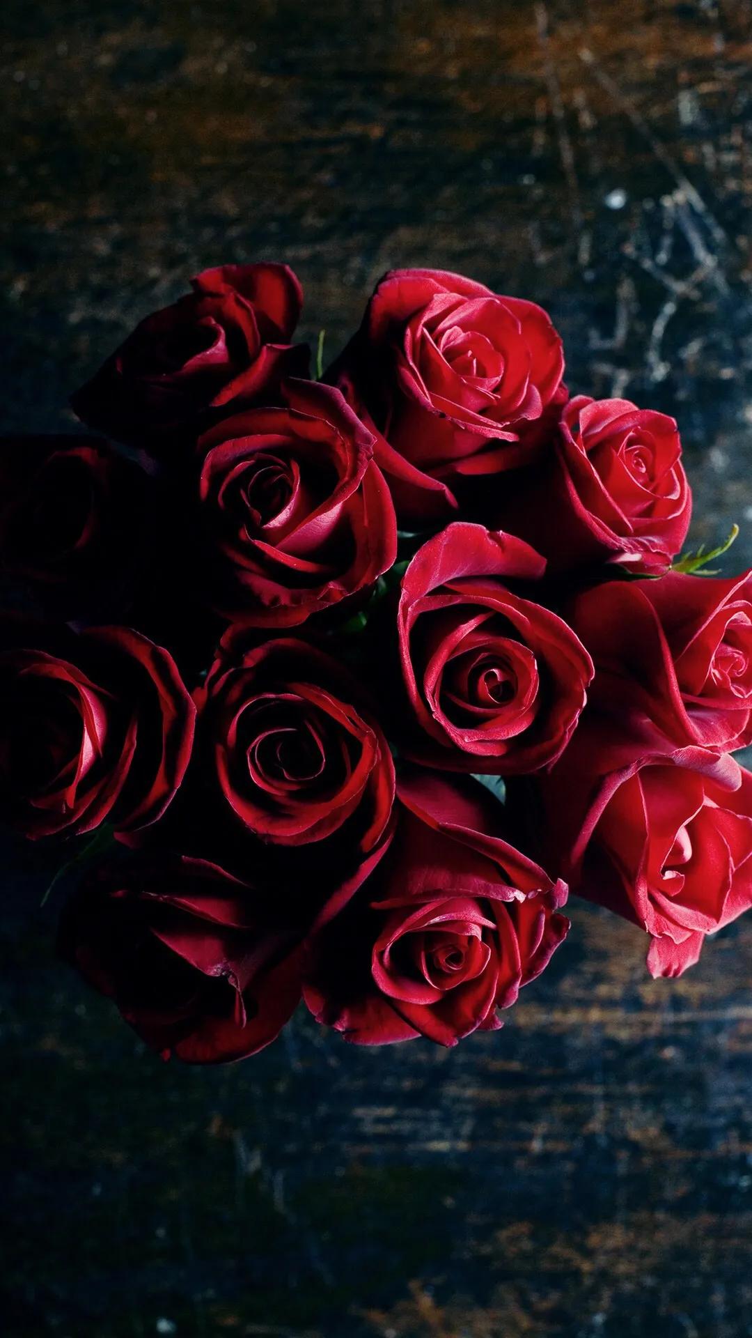壁纸:浪漫的红色玫瑰