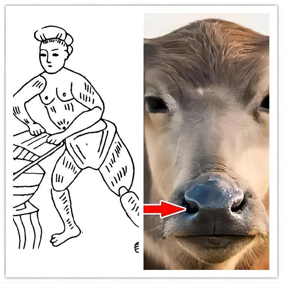 犊鼻裈是裤裆缝合的短裤,相当于现在的三角裤,由于裤式短小,两边开口