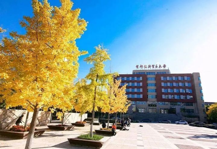 「23管综择校参考」财经类院校TOP10优势最全对比