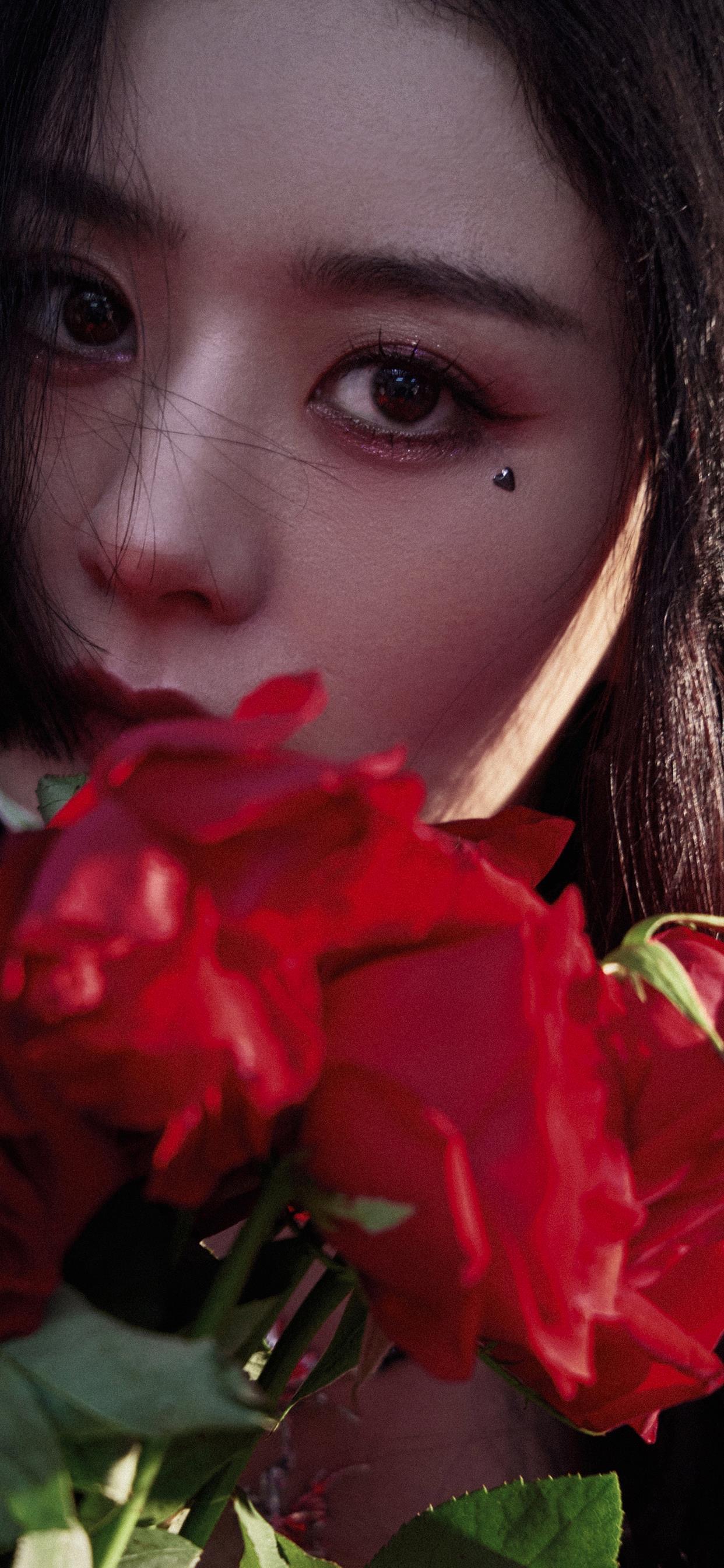 赵丽颖壁纸｜红色玫瑰系列