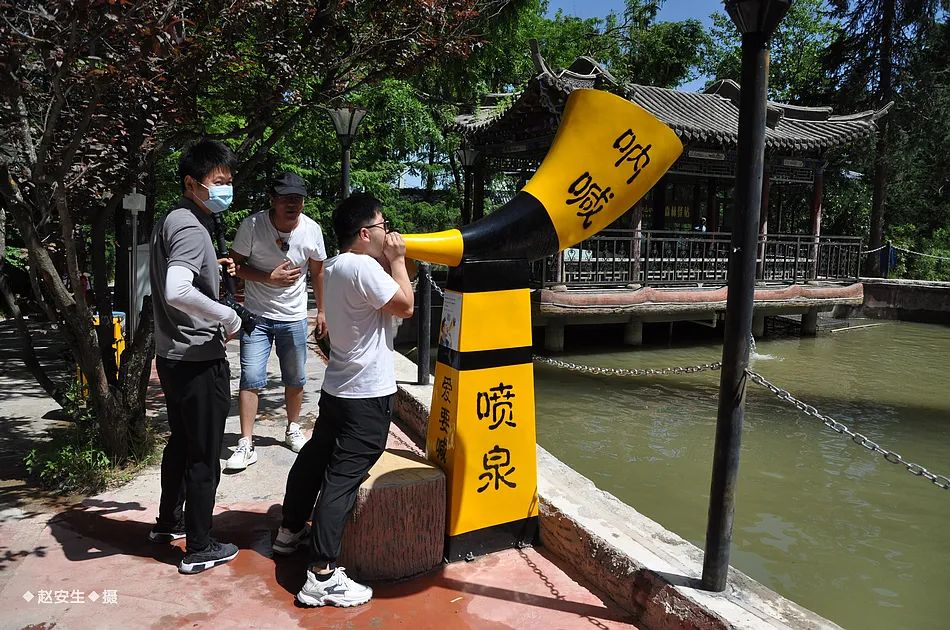 因麥積山而來 留植物園忘返！麥積山植物園帶你體驗叢林探險的樂趣