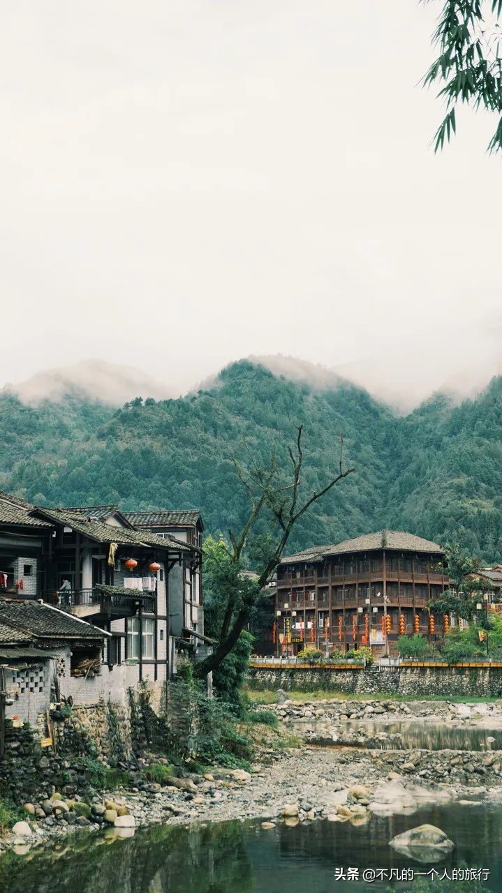 这才是中国最美的春天