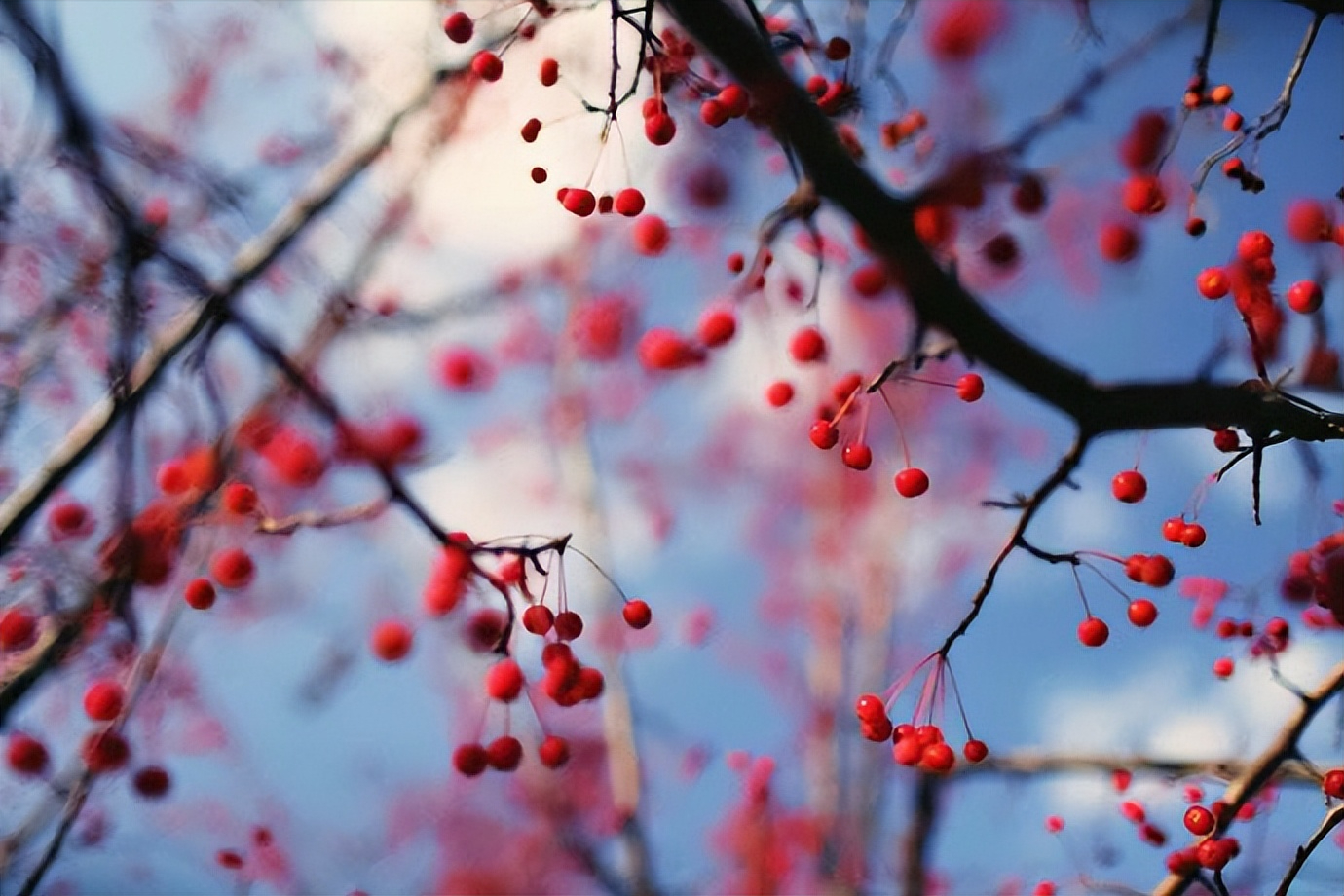 中国文学史上45首关于爱情的经典诗词，你最喜欢哪一首？