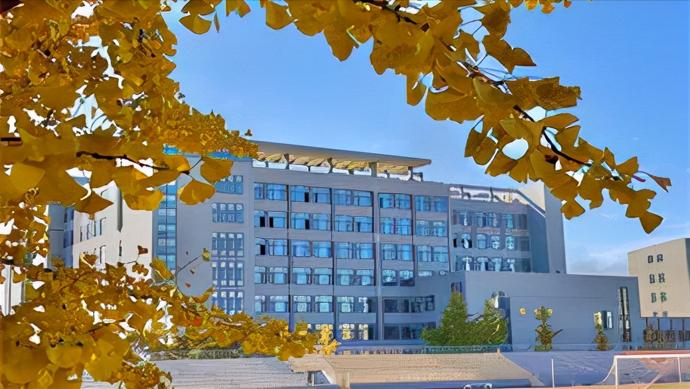 国内一所双非大学，位于港口，当地认可度高，有企业扶持易就业