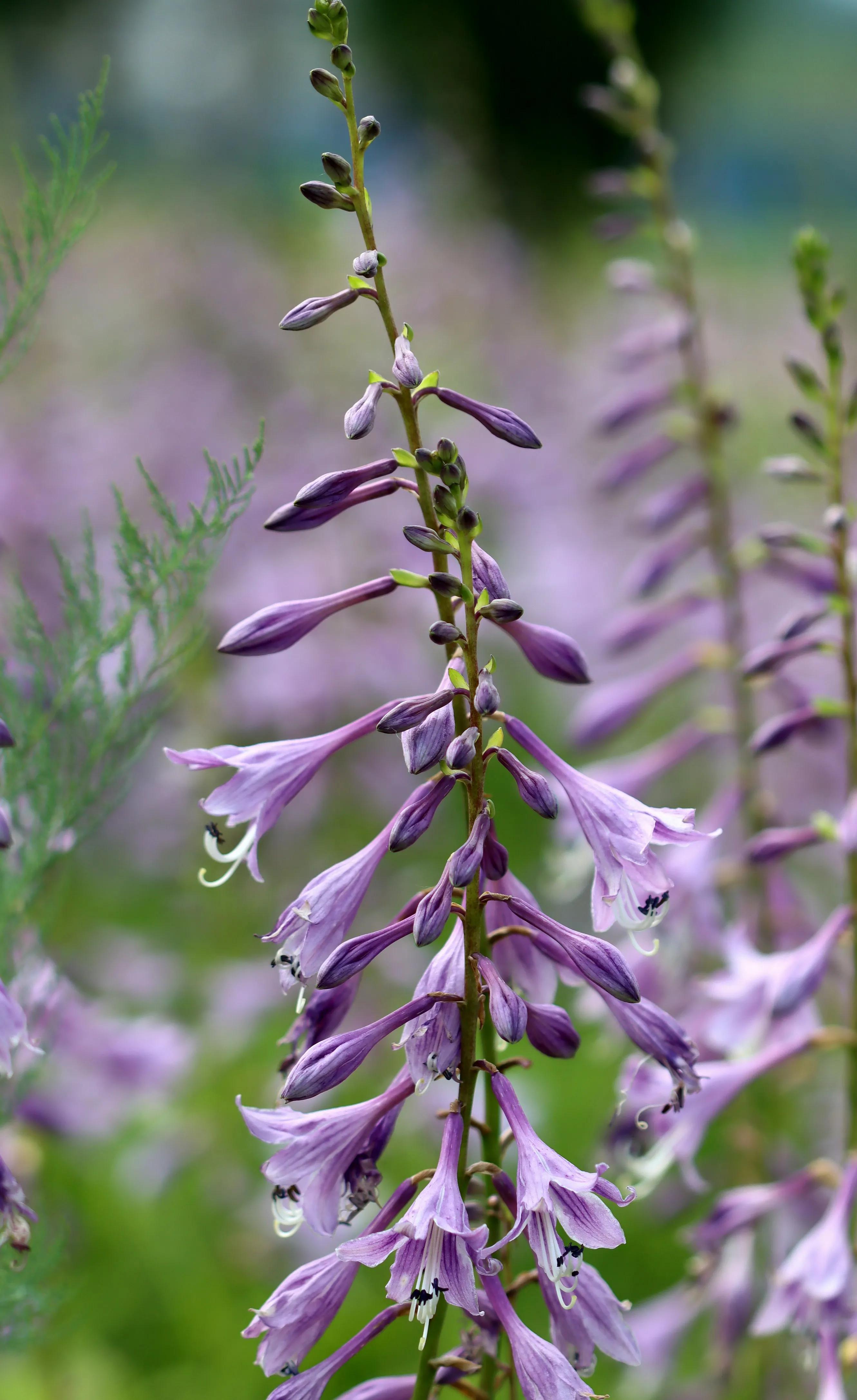 境由心造,退后一步自然宽!