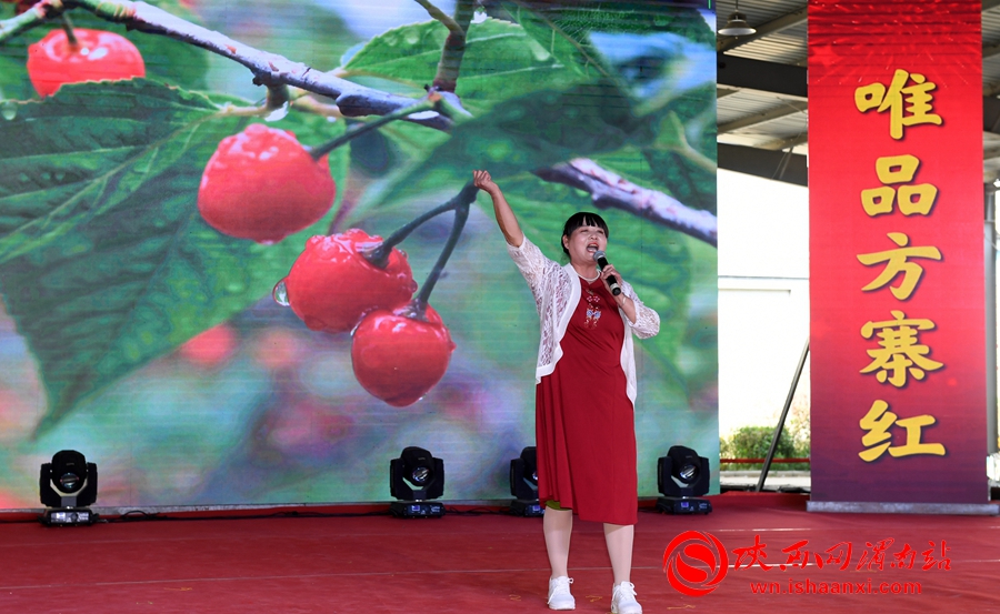 櫻桃千萬家 唯品方寨紅 合陽第五屆“方寨紅”櫻桃推介會舉辦（高清組圖）
