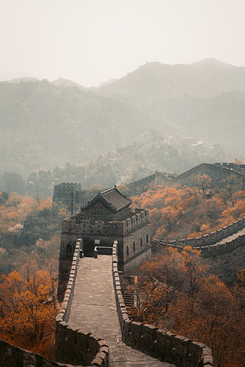关于柳树有关的诗句（关于柳树的诗句摘抄）