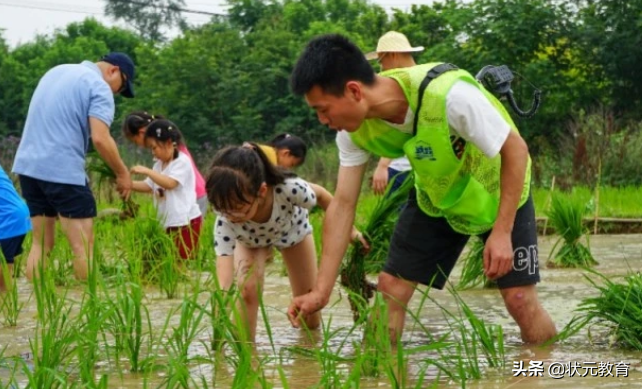 中小学开设“农耕知识+体验课”，纳入素质教育可比肩中考体育