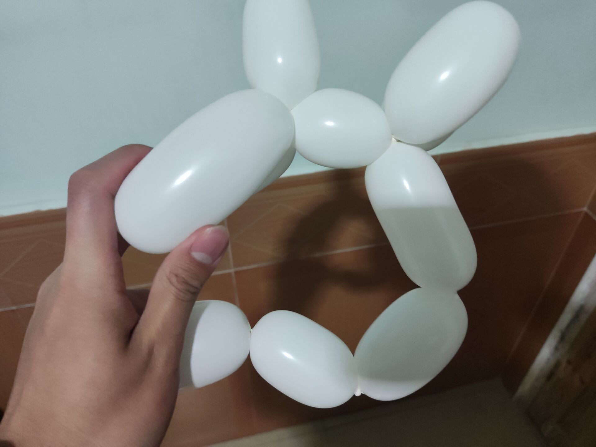 一根长气球制作小动物图片
