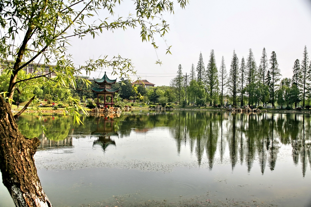 设计舞蹈招生215人，湖南农业大学发布2022年艺术专业招生简章