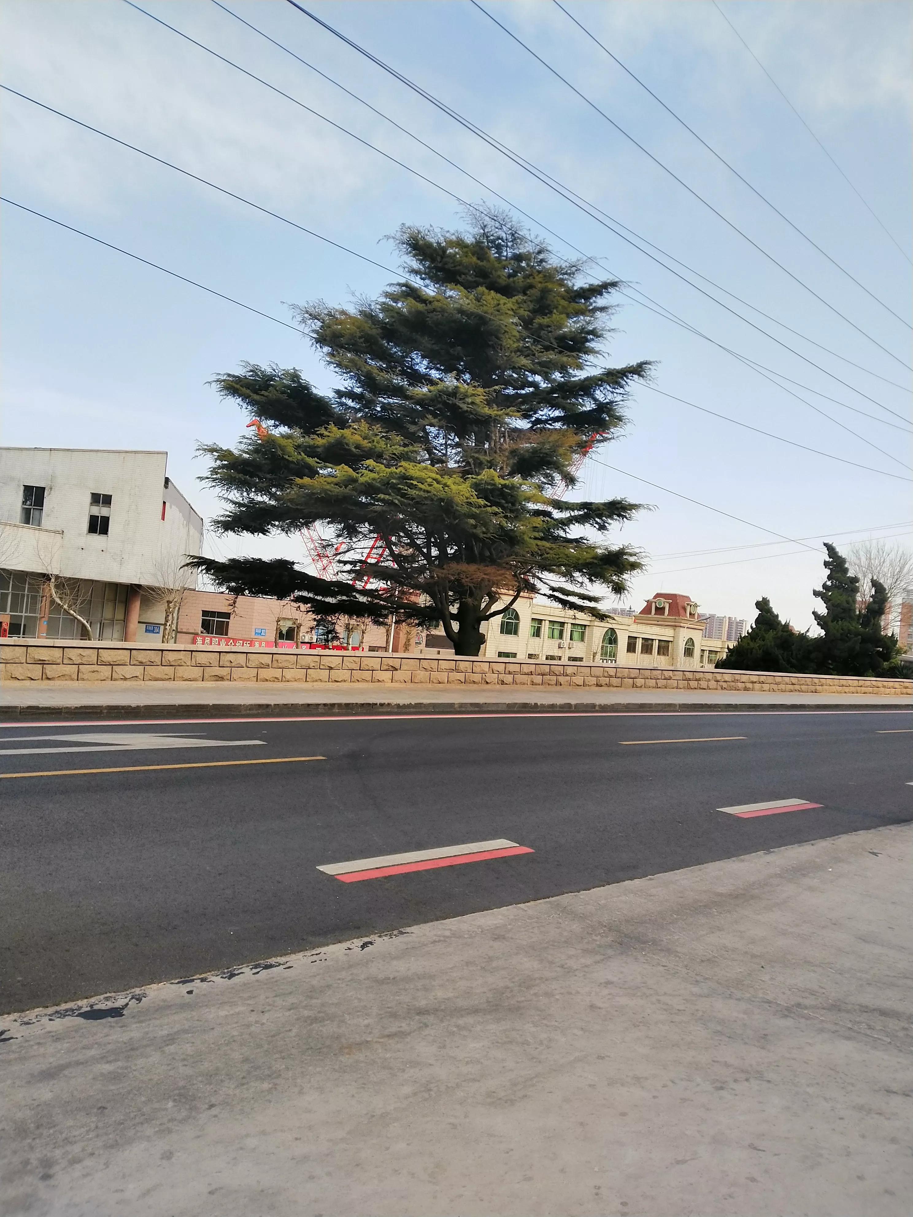 法官可以当律师吗（互联网庭审极大方便了律师的代理工作）