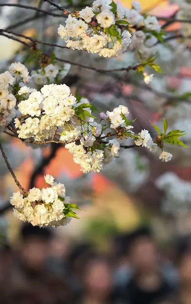 山东工业技师学院：走进金牌工院 品鉴校园资产