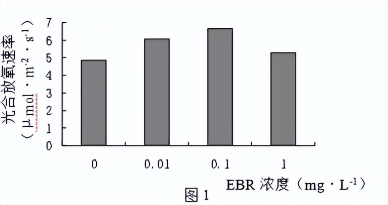 青鲜素相当于什么植物激素（青鲜素相当于什么植物激素类）-第27张图片-昕阳网