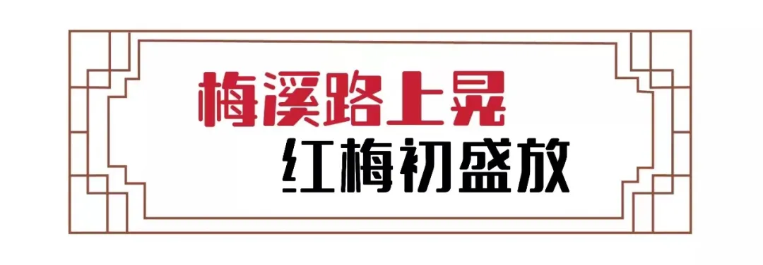 2022年的第一场花事，走，赏梅去