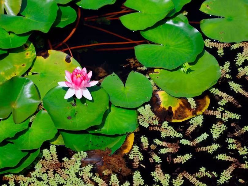 值得参考！2021届毕业生什么专业好就业、薪资高？最新榜单来说话！