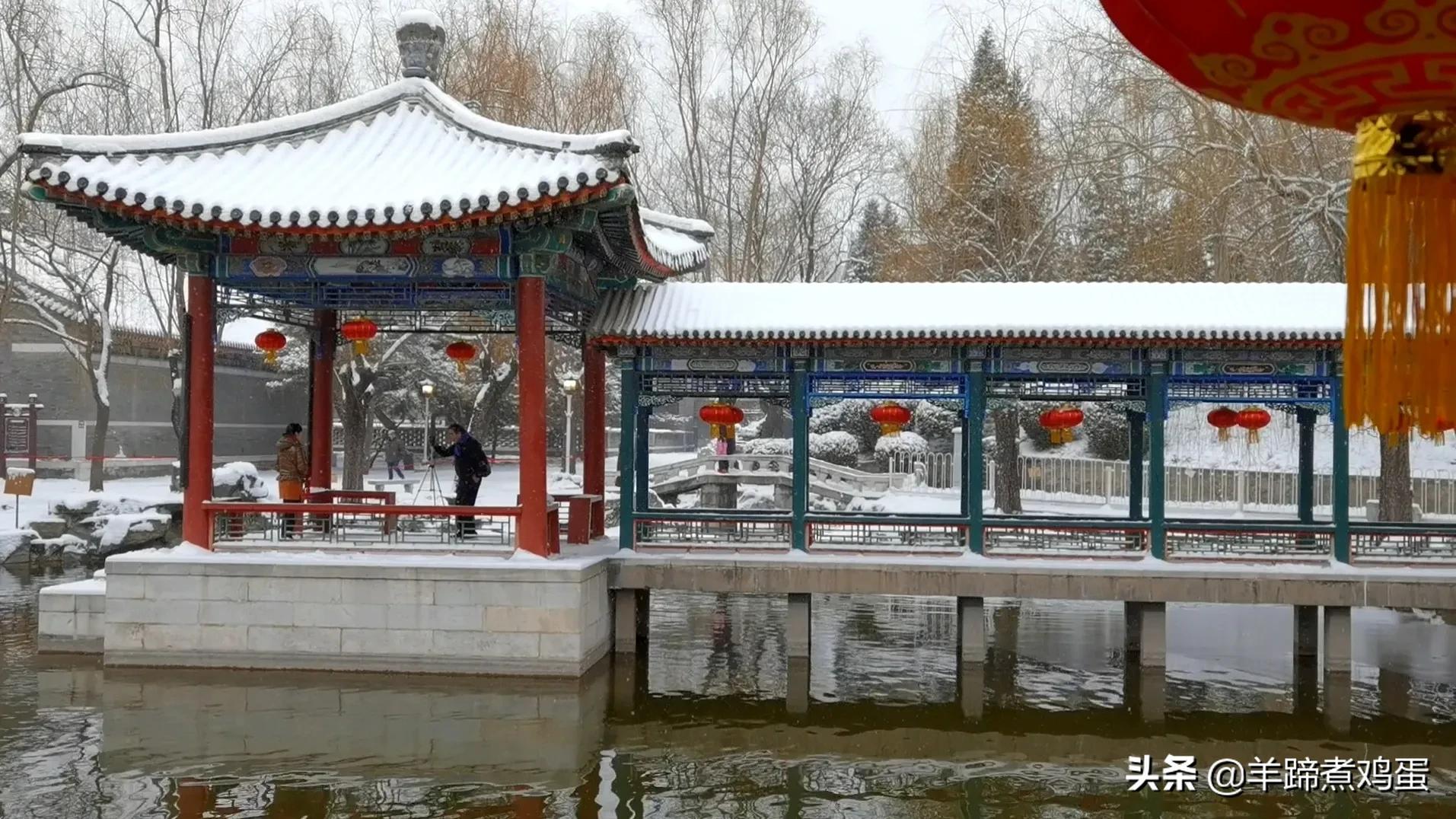 难览观园全画景雪覆腊梅一隅香——踏雪寻游北京大观园