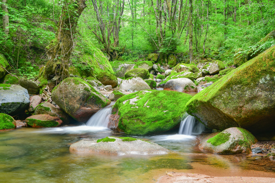 天水桃花沟里水潺潺