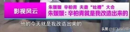 挤掉于和伟，力压雷佳音，宠妻达人辛柏青，无冕之王如何翻红