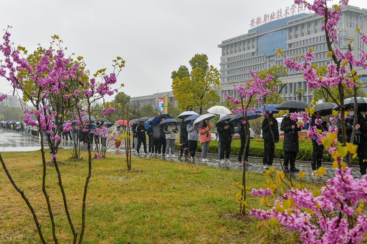 名字越长的学校越垃圾,大学名字越短越厉害(图4)