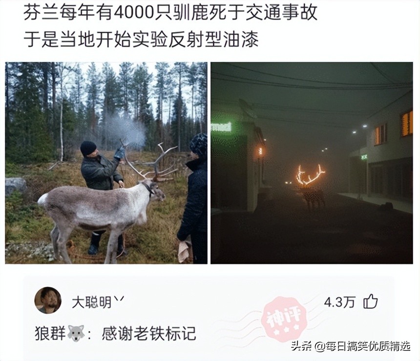 神回复：想娶迪丽热巴做老婆，第一步该做什么？我现在就去试试