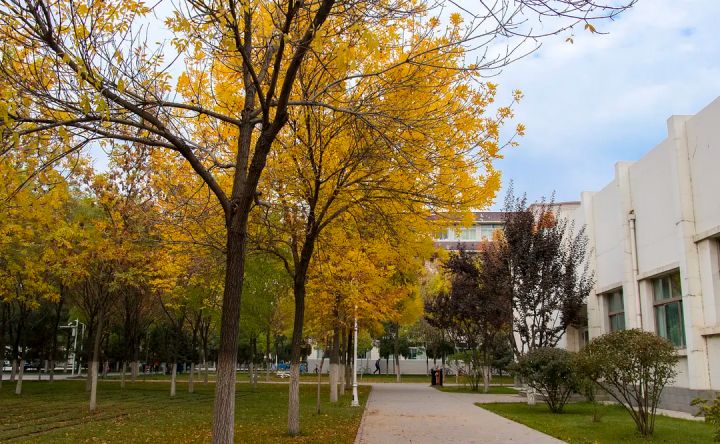 「23考研院校最新资讯」北方民族大学招生信息