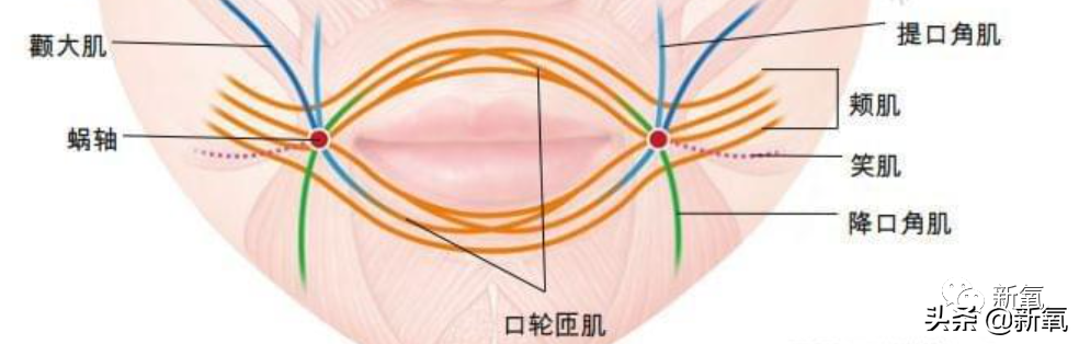 这就是新旧女团风格转变的标准吗？