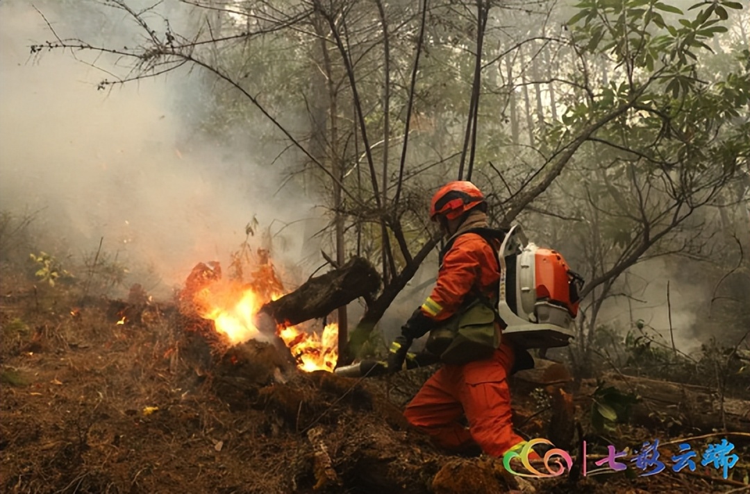 防火形势严峻！ 云南省林草局派出14个工作组蹲点指导森林草原防火工作