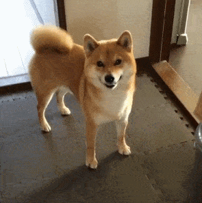 ŮһëԢ⣨ŮһëԢң-Ȼ