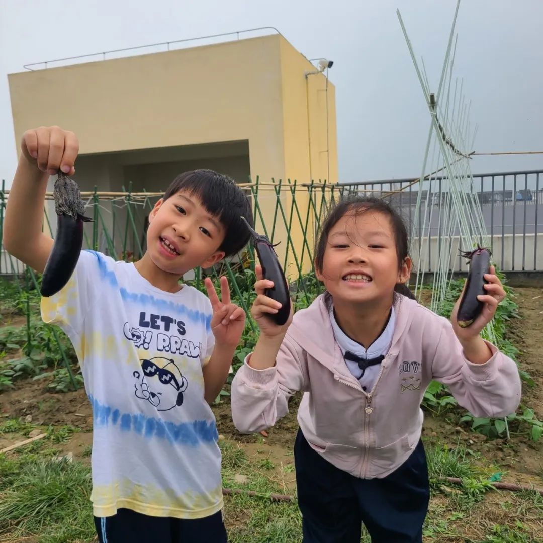 成都高新区朝阳小学深入开展二十四节气之小满有关活动
