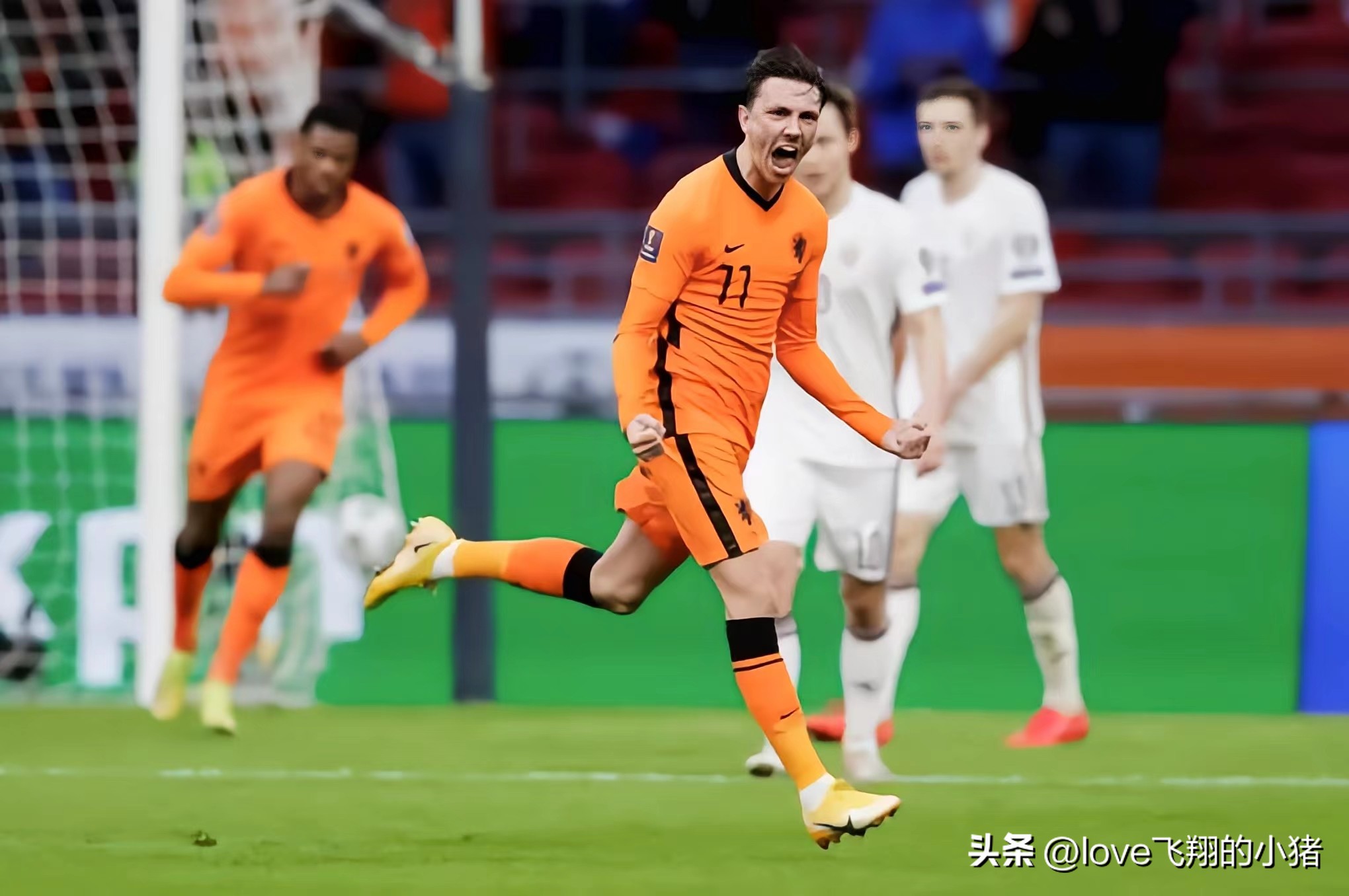 2022世界杯荷兰阵容（荷兰队2022世界杯阵容首发11人主力预测）