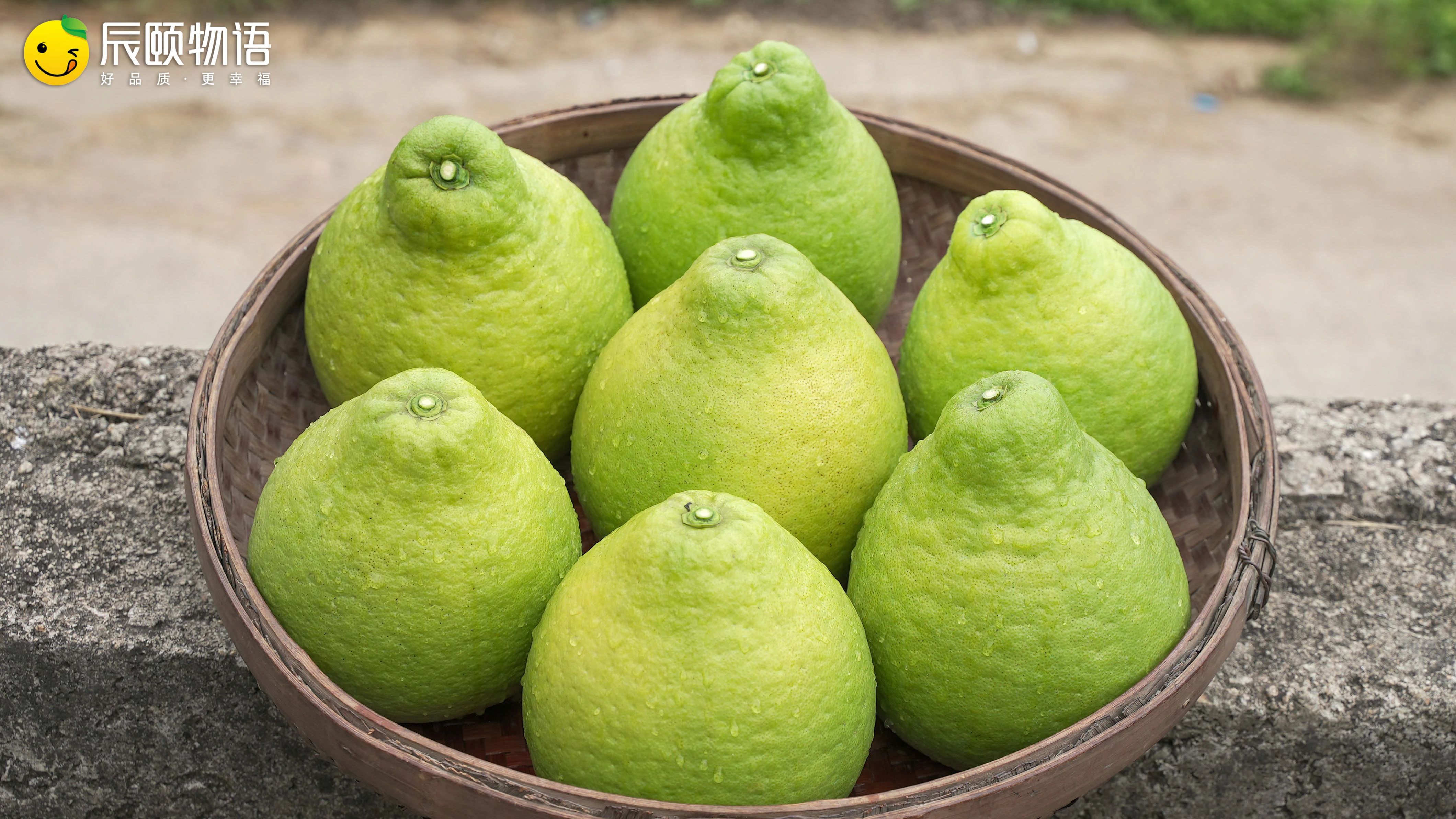 辰颐物语梅州沙田柚广东人过年必屯越放越甜