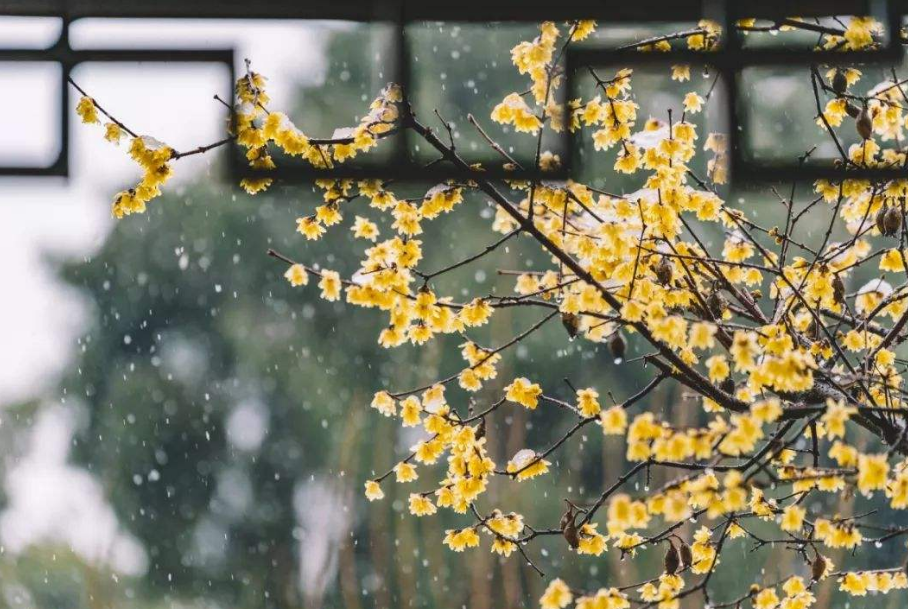 「原创诗词」管恩锋 | 祝万家和，千家乐，百家安（春节吟15首）