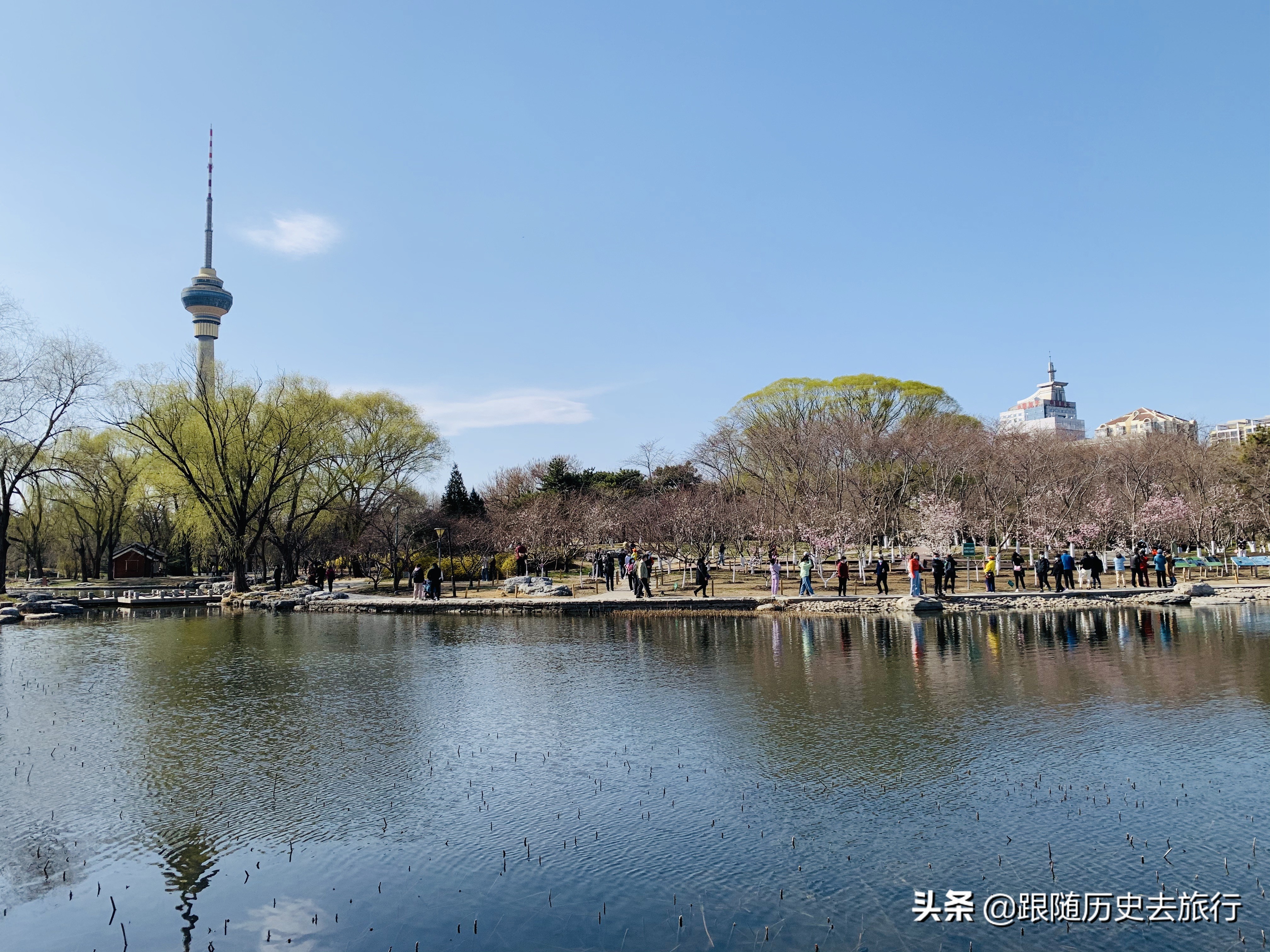 北京春日必去10大赏花公园！除了玉渊潭植物园，这几座也不要错过