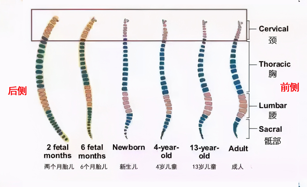 朱珠晒娃，5个月女儿叼安抚奶嘴奶萌可爱，宝宝几个月可以用背带