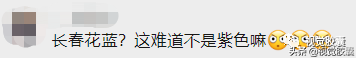 “你选的色卡，差点把毕设毁了！”