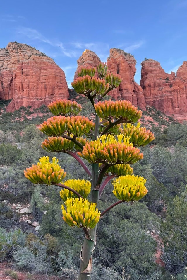 30张图看世界：越南女兵宿舍内叠被子，朝鲜阅兵的女兵方阵