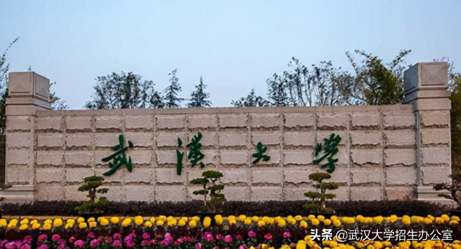 膜拜！91年出生，29岁出任985正教授、博导，他直言要培养出更多“雷军”！